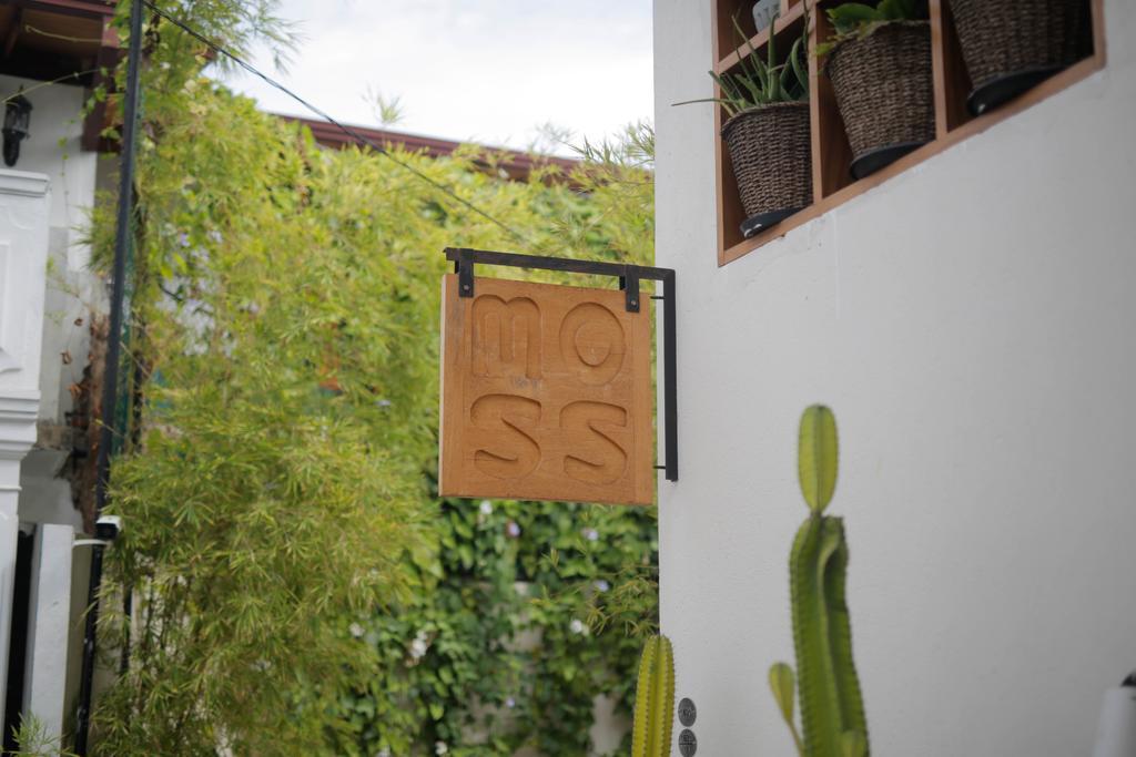Moss Bnb Colombo Kültér fotó