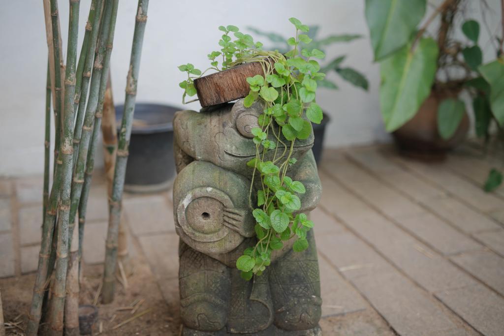 Moss Bnb Colombo Kültér fotó