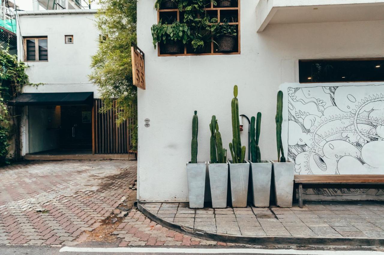 Moss Bnb Colombo Kültér fotó