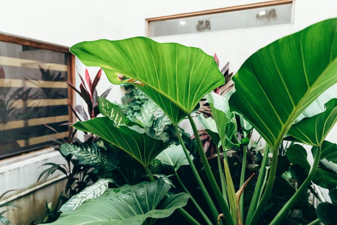 Moss Bnb Colombo Kültér fotó